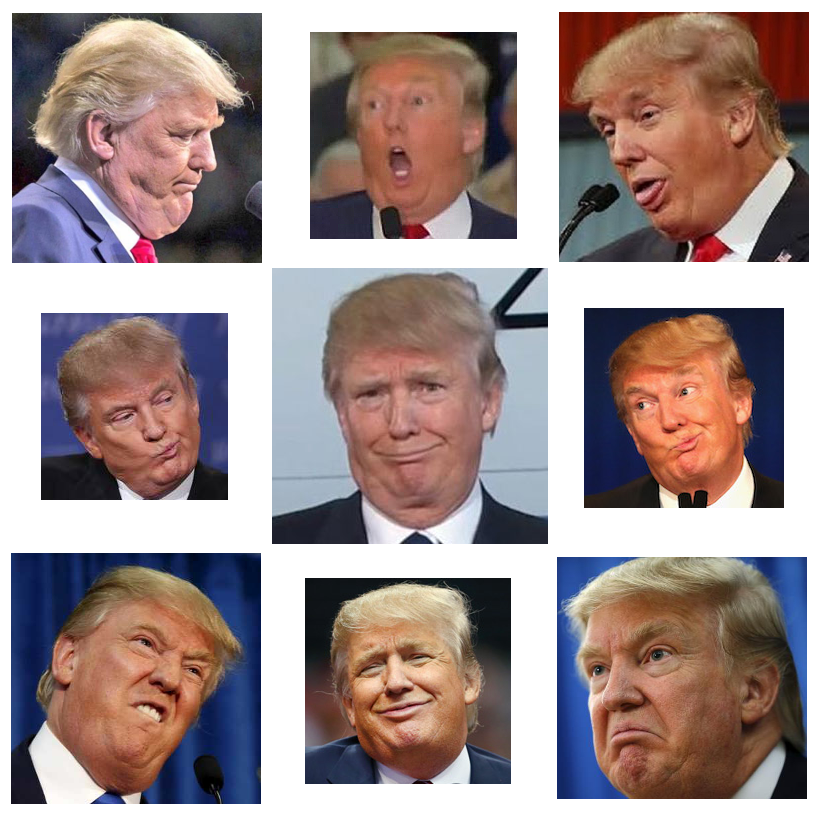 donald trump drumpf presidential portraits